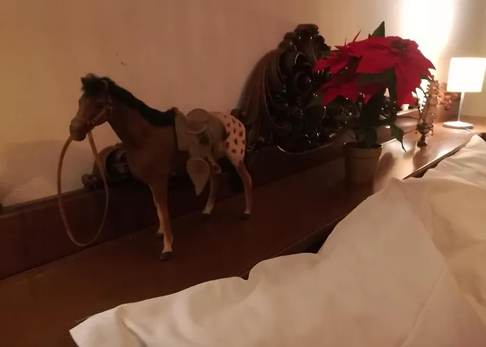 Oda ve Kahvaltı Colli *